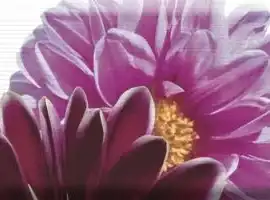 Плитка Decor Flowers 02 15x45