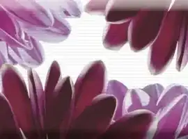 Плитка Decor Flowers 01 15x45