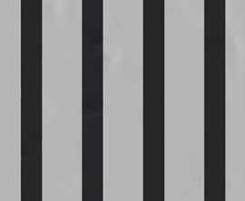 Плитка Fermo Gris 20x20