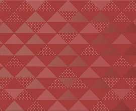 Плитка Декор VELA CARMIN CONFETTI 20,1x50,5