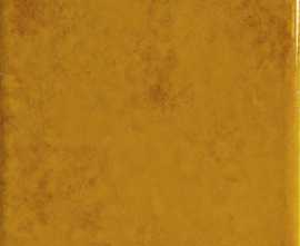 Плитка A041642 Genuine Amber 10x10