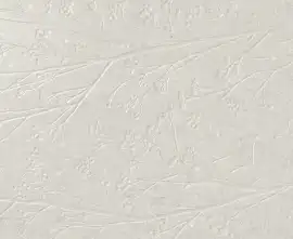 Плитка A042750 Divine White Rect 60x120