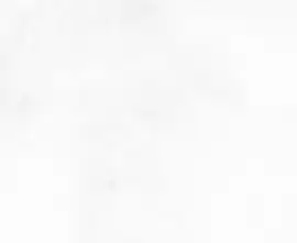 Плитка WT9KON00 Konor White 249*500*7.5
