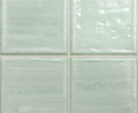 Плитка Noa Fern 20х20