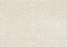 Плитка Elevation Sand Rec Bis B-100 29x100