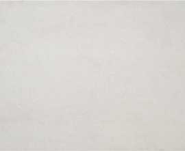 Керамогранит CAN5PHASDDAA Phase Grey MT Rect 59,5x120