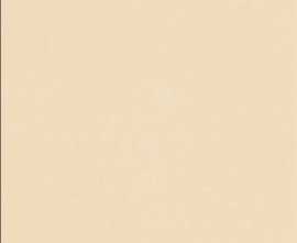 Керамогранит Blanco Perla 40*40