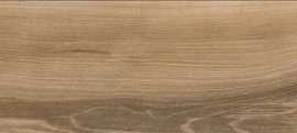 Керамогранит GOA CAOBA Ret. 23x120