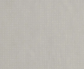 Керамогранит fQQX Rooy Grey Matt 40x80