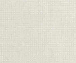 Керамогранит fQQ7 Rooy White Matt 40x80