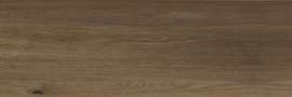 Керамогранит 128422 OAK RET. 20x12