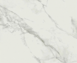 Керамогранит O-CLM-GGM054 Calacatta Marble 79.8x79.8