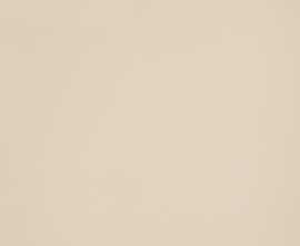 Керамогранит ICON CREAM 120L 120x120