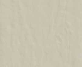 Керамогранит 749162 Neutra 6.0 02 Polvere Ret 6mm 60x120