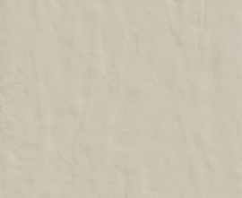Керамогранит 748494 Neutra 6.0 02 Polvere Ret 6mm 120x120