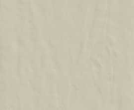 Керамогранит 748488 Neutra 6.0 02 Polvere Ret 6mm 120x240