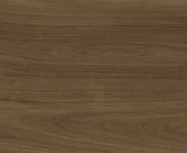 Керамогранит Xlight Ewood Honey Nature 120x250