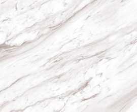 Керамогранит Atlanta White Silver Glossy Carving 60х120