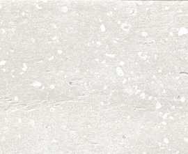Керамогранит 42879 Trace White Plain 6x30