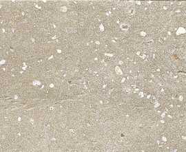 Керамогранит 42882 Trace Taupe Plain 6x30