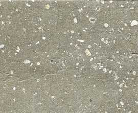 Керамогранит 42883 Trace Green Plain 6x30