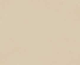 Керамогранит N12042 Blossom Ivory Matt 60x120