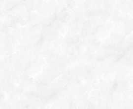 Керамогранит 176541 Belonia Polished 60x120