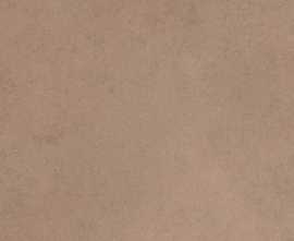 Керамогранит 781064 Easy Life Barley Matte Silk Ret 120x120
