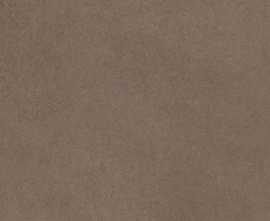 Керамогранит 781058 Easy Life Mushroom Matte Ret 120x120