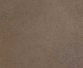 Керамогранит 780802 Easy Life Mushroom Matte Ret 60x120