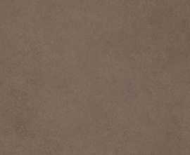 Керамогранит 780811 Easy Life Mushroom Matte Silk Ret 60x120