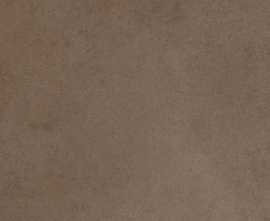 Керамогранит 780819 Easy Life Mushroom Matte Ret 60x60
