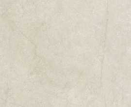 Керамогранит 778713 Stone Life Shell Matte Ret 6mm 120x120