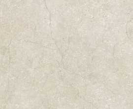 Керамогранит 779270 Stone Life Shell Matte Ret 6mm 60x120