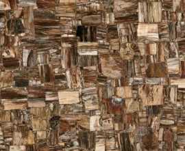Керамогранит MC-SP10 Petrified Wood (Party) (Compound With Granit) 100x100