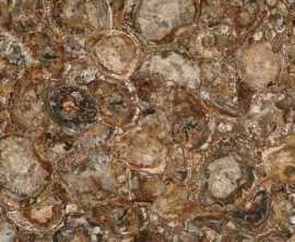 Керамогранит MC-SP09 Petrified Wood (Round) (Compound With Granit) 100x100