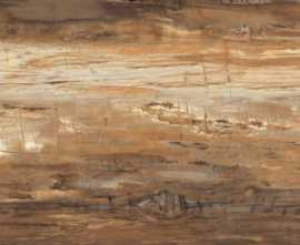 Керамогранит EWL0261530 EMINENT BROWN LUCIDATO 300x150
