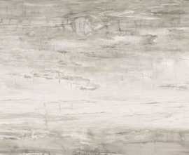 Керамогранит EWL0161530 EMINENT GREY LUCIDATO 300x150