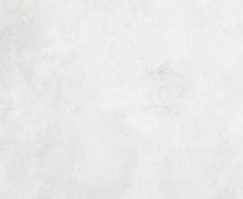 Керамогранит N12610 Concrete White Matt 60x120