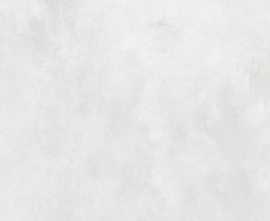 Керамогранит N12043 Concrete White Matt 120x120