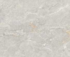 Керамогранит N20584 Soya Silver Carving 80x160