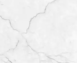 Керамогранит Torso Bianco Полированный 60х120