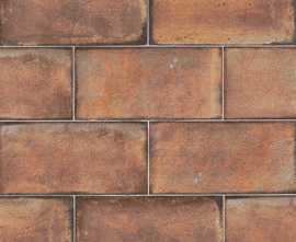 Плитка PT02548 Esenzia Terra 15x30