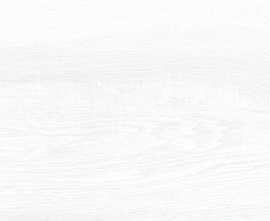Плитка WT9BRE00 Briole White 249*500*7.5
