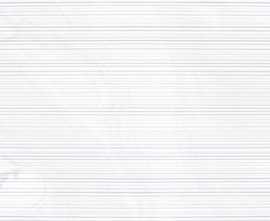 Плитка 4YES Roses Blanco 25x75