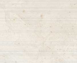 Плитка 4YET Roses Beige 25x75