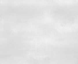 Плитка WT9SHP00 Shape White 24.9х50
