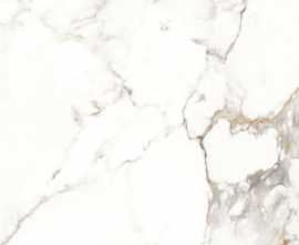 Керамогранит ETMAR1201GL60120 Antique Carrara Glossy 60x120