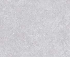 Керамогранит SE9544M50 Lasko Light Gray Semi Polish Rect 60х120