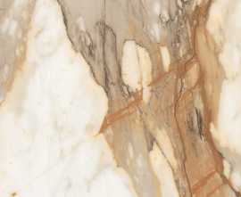Керамогранит AB1059G Borgini Gold gloss 600x600